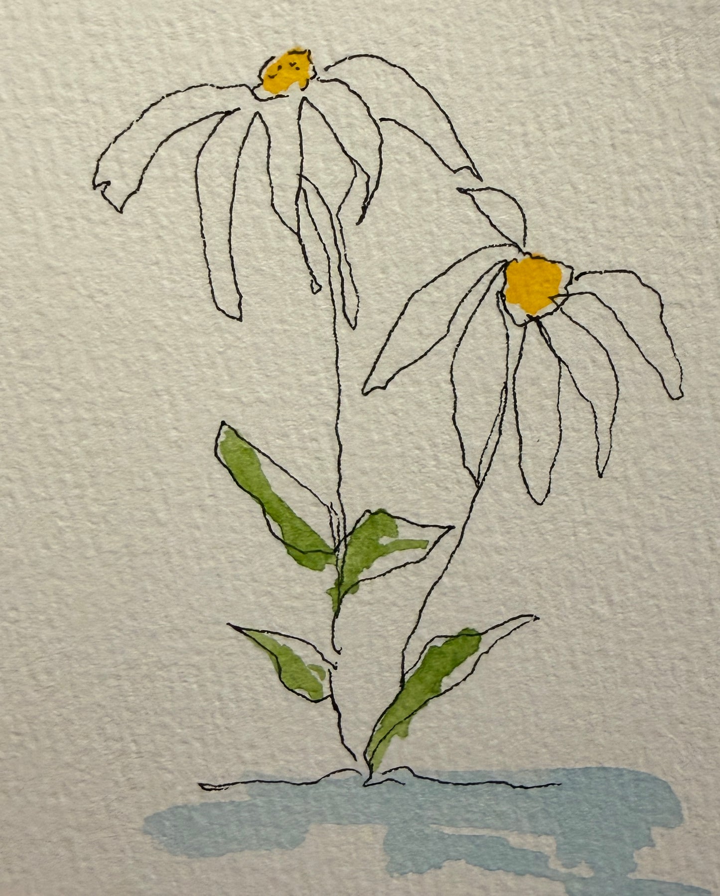 A Forever Love of Flowers Minis