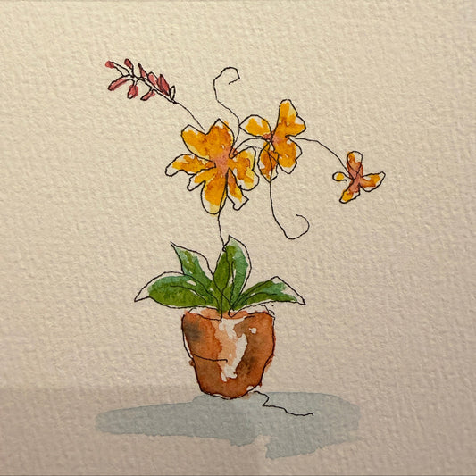 A Forever Love of Flowers Minis