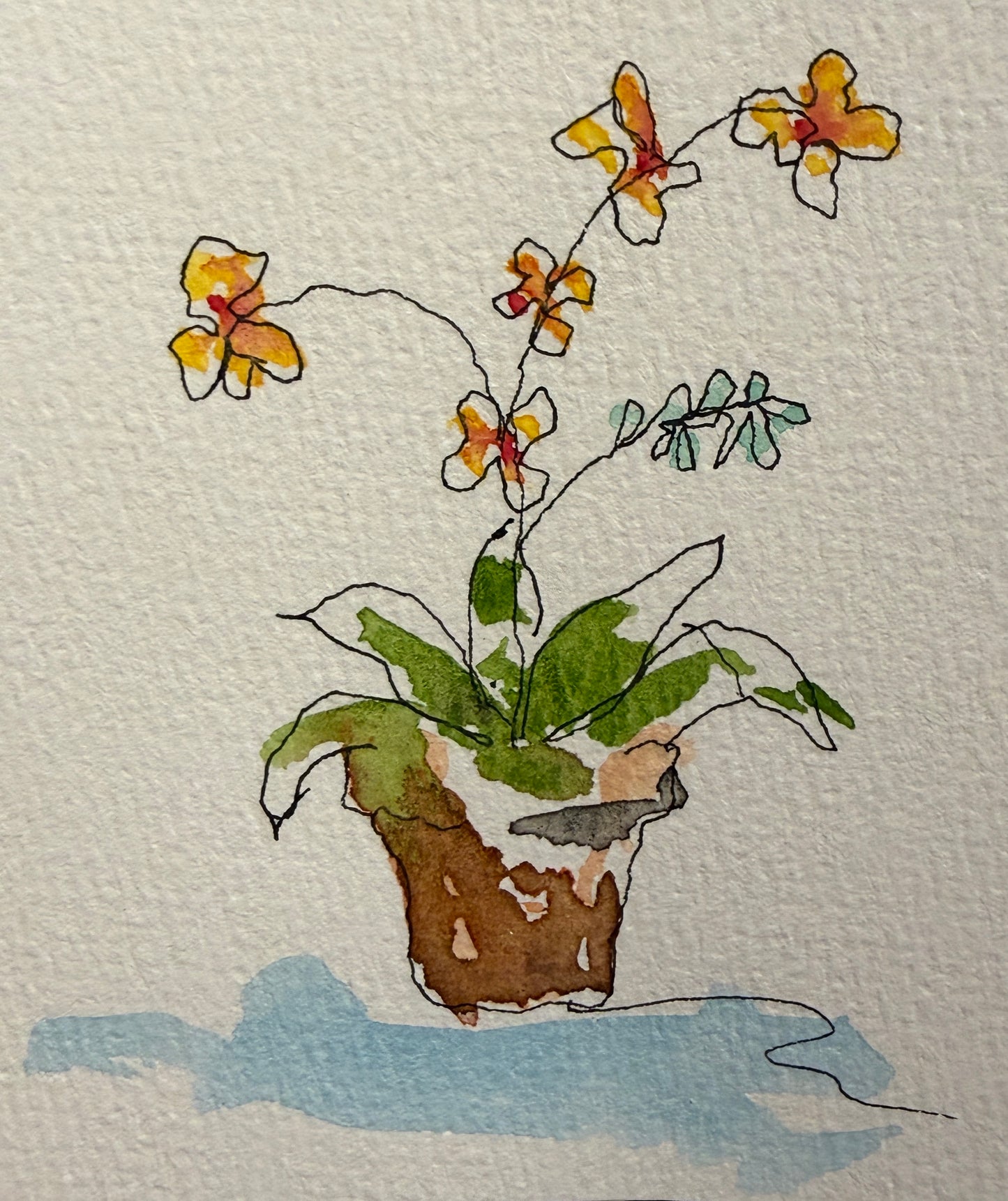 A Forever Love of Flowers Minis