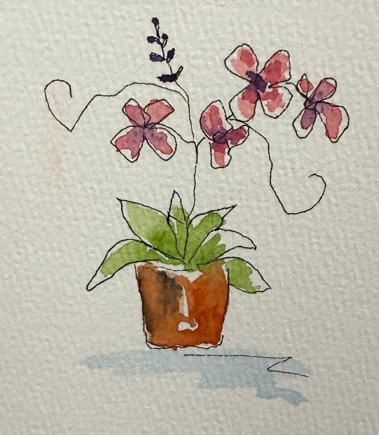 A Forever Love of Flowers Minis