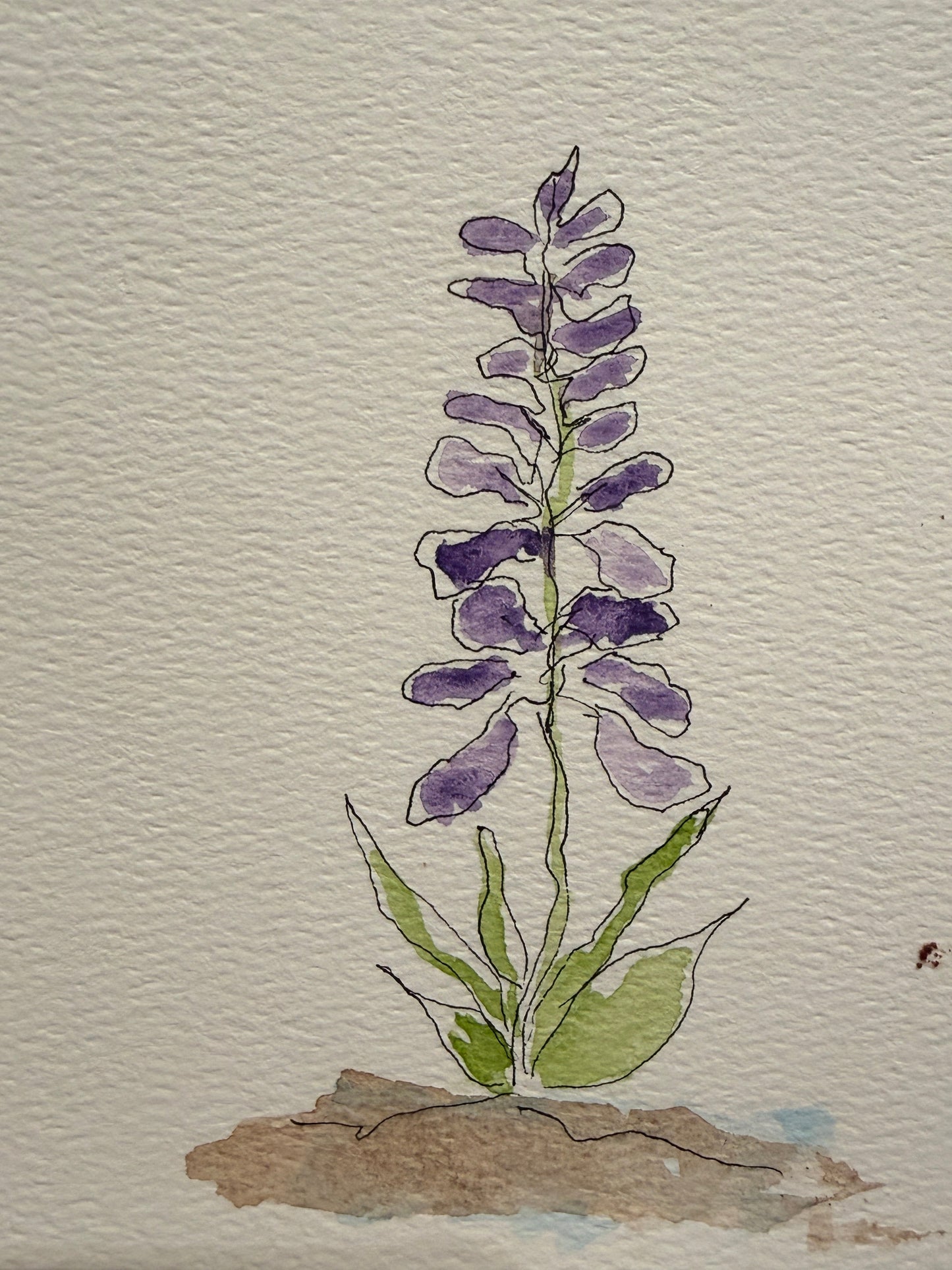 A Forever Love of Flowers Minis